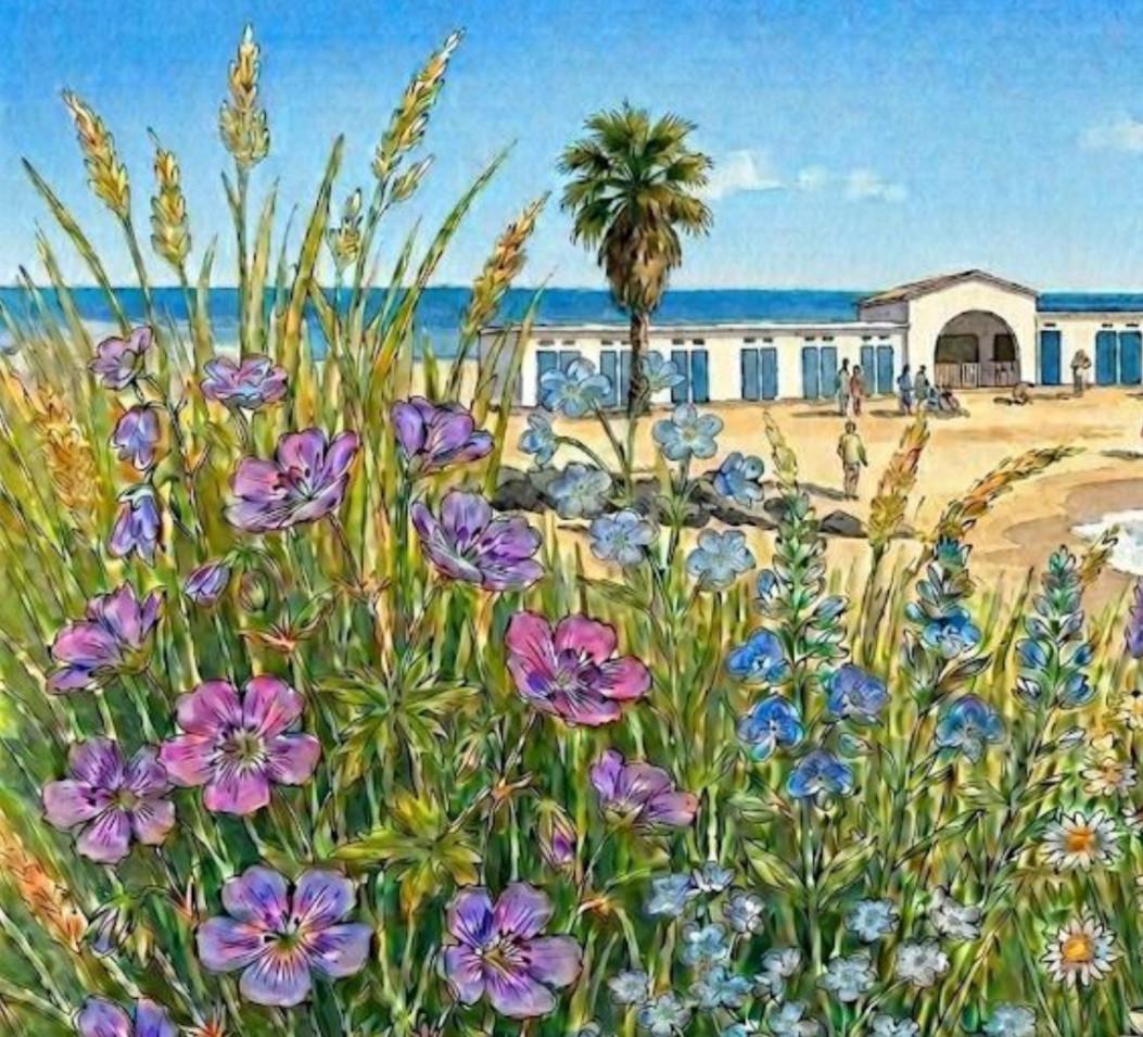 Activitats 23 de maig