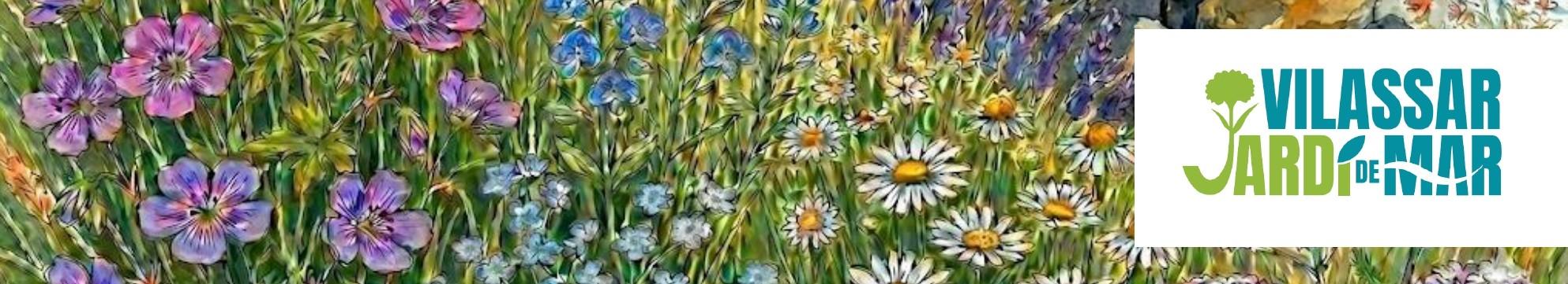 Jardí de Mar