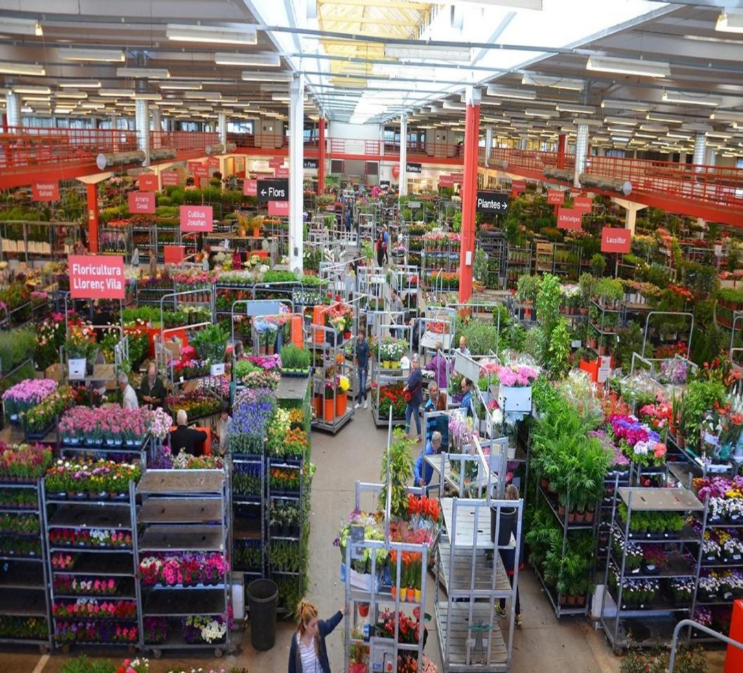 Itineraris al Mercat de Flor i Planta
