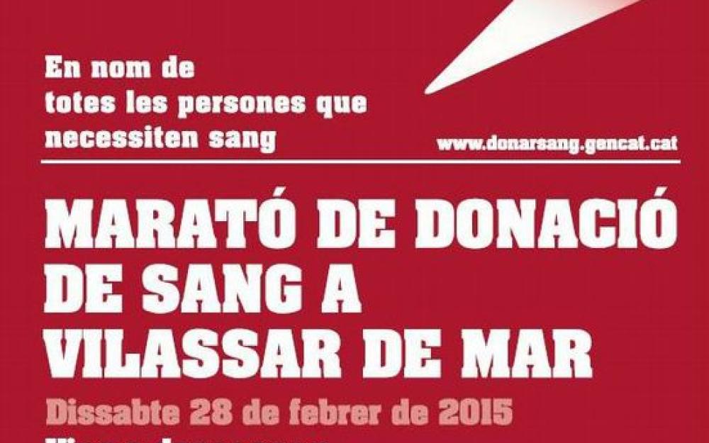 Cartell Marató sang 2015