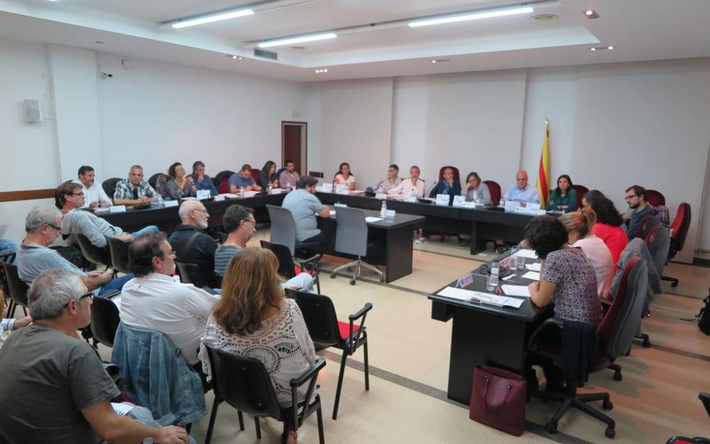 Ple 24 octubre