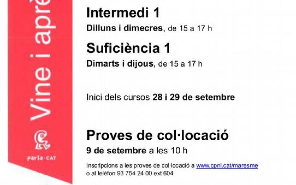 Cartell Cursos Català