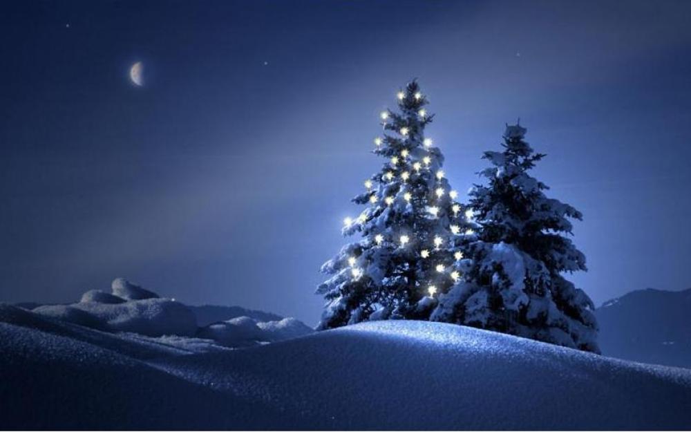 Avet de Nadal