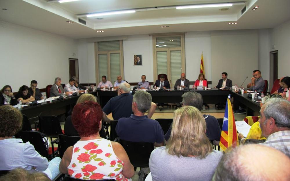 Plenària moció 9N
