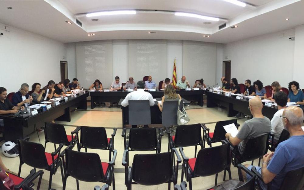 Ple 20 juliol