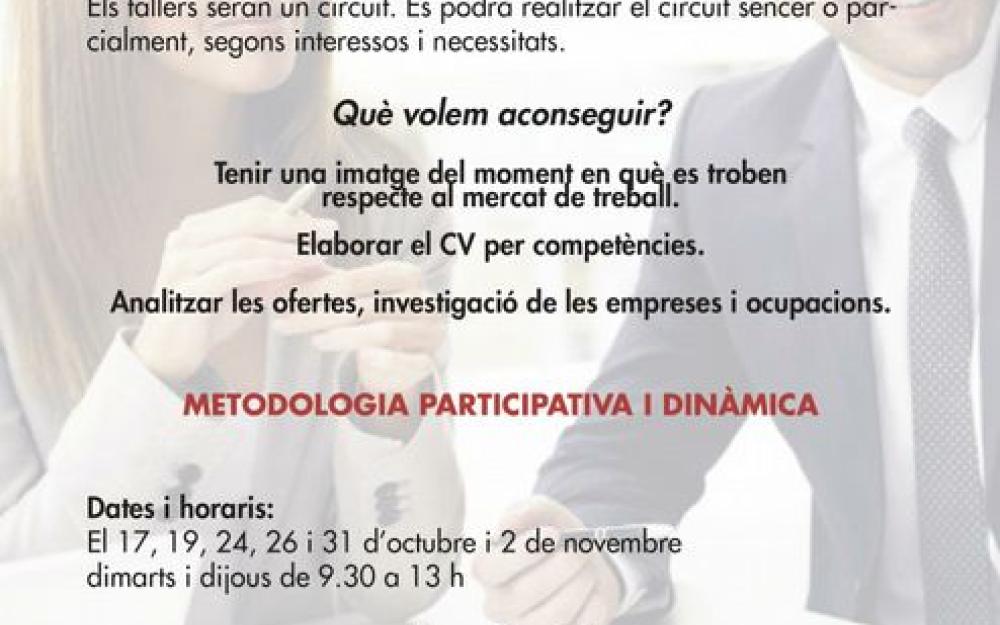 Cartell Tallers ocupabilitat