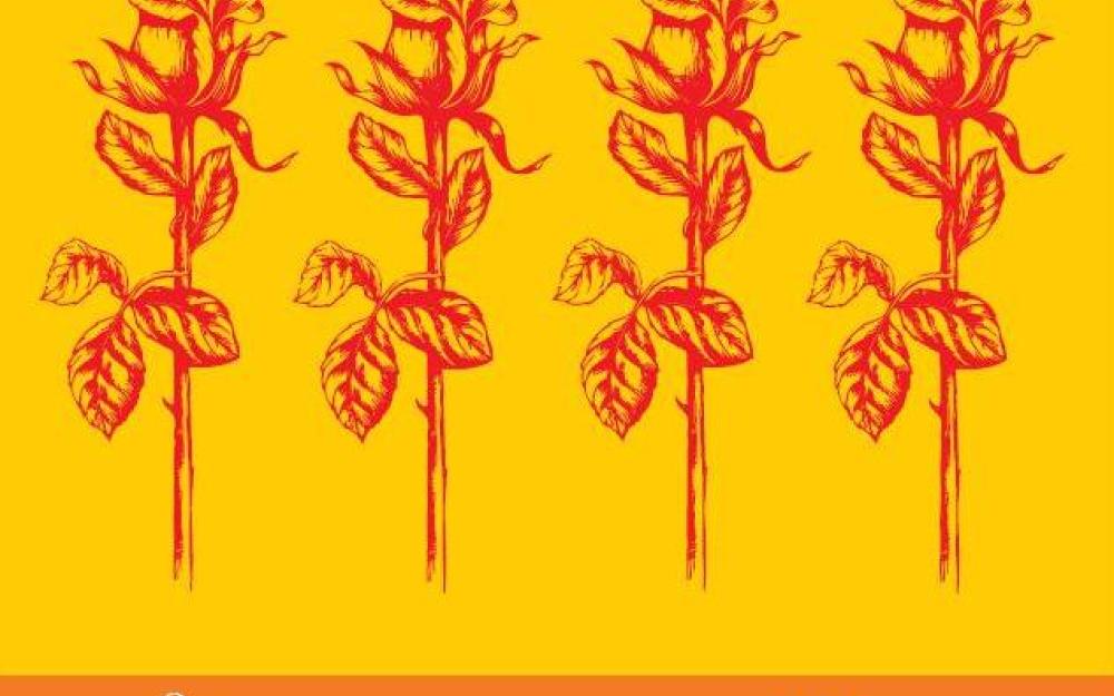 Sant Jordi 2015