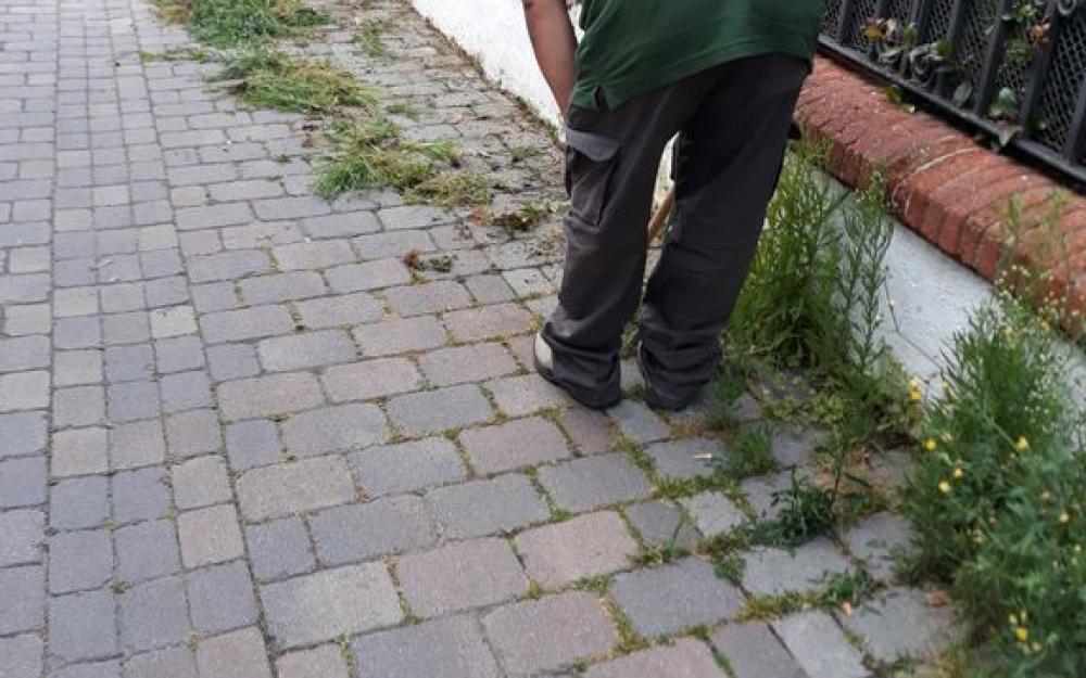 Jardineria sense glifosat