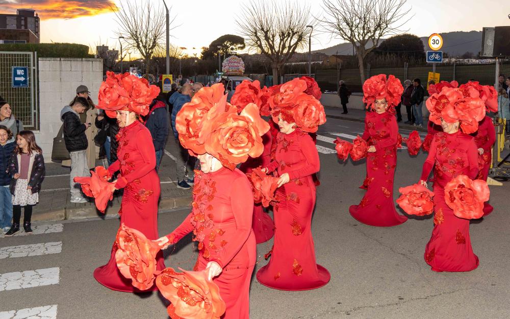 Fourteen roses (Parapapa)