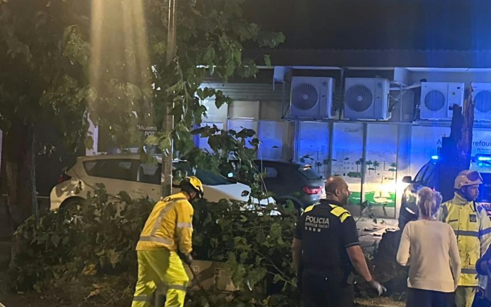 Policia Local i ADF Burriac retirant arbre caigut