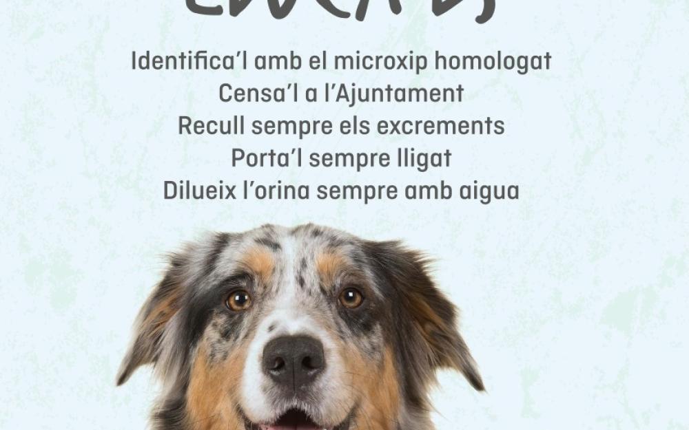 Cartell de la campanya