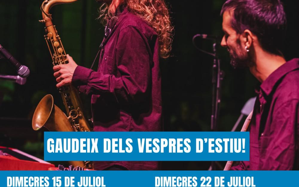 Cartell de l'activitat