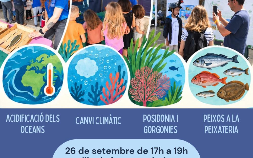 Cartell de l'activitat