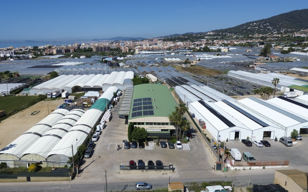 Cooperativa Agrícola de Vilassar de Mar