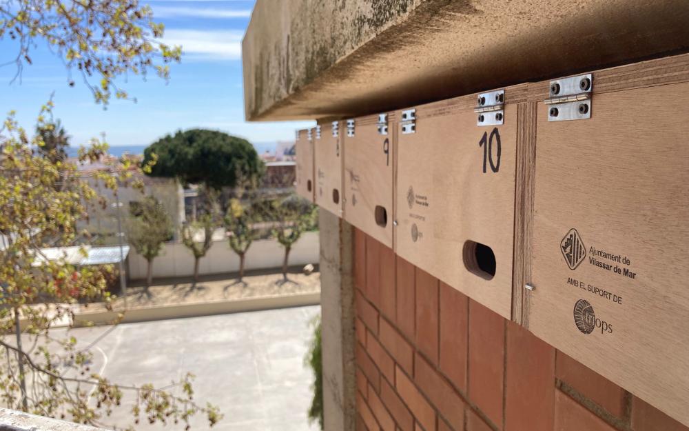 Instal·lació de caixes niu