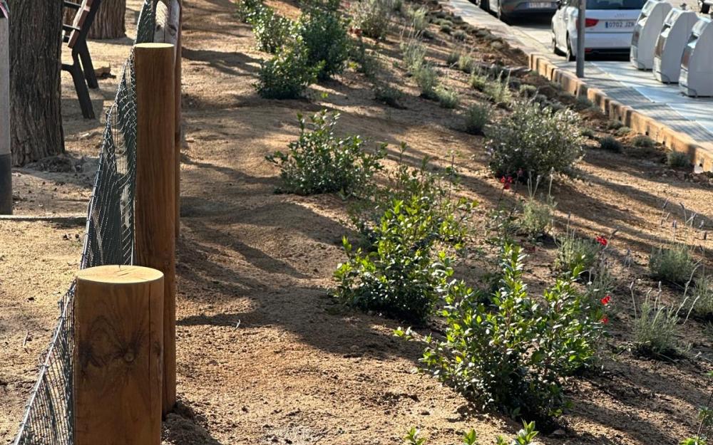 Enjardinament sostenible de la plaça Tarradellas