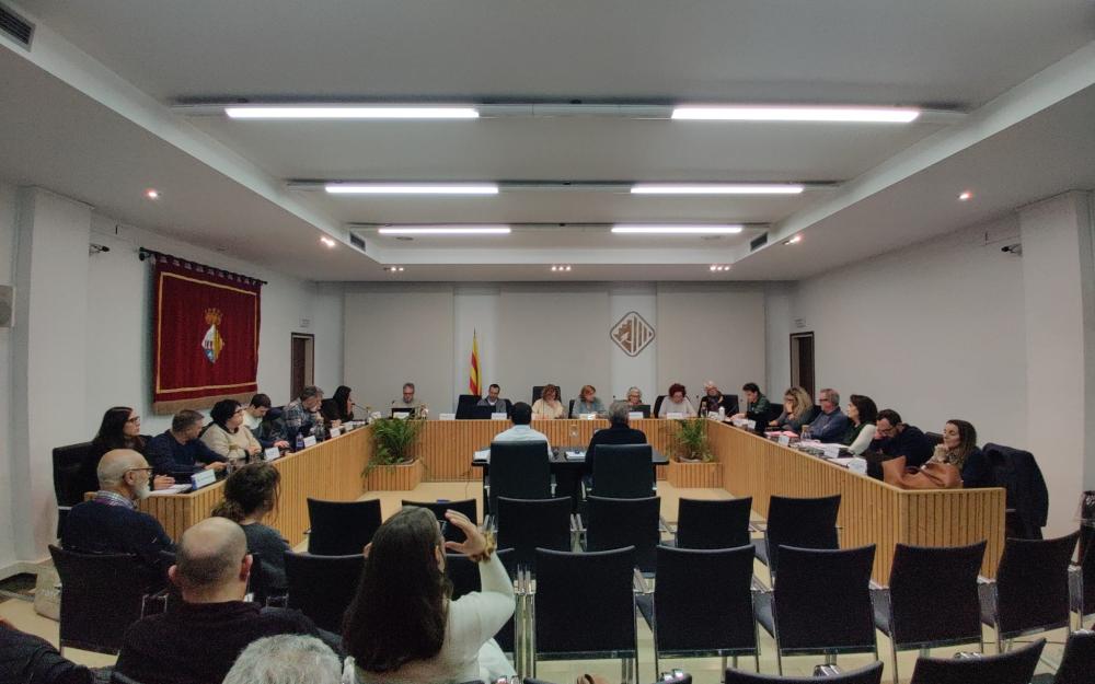 Sessió plenària del 19 de febrer de 2026