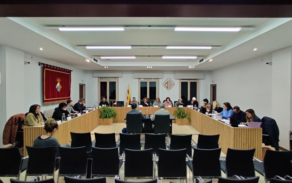 Sesisó plenària del 29 de gener de 2026