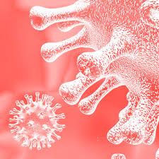 coronavirus foto