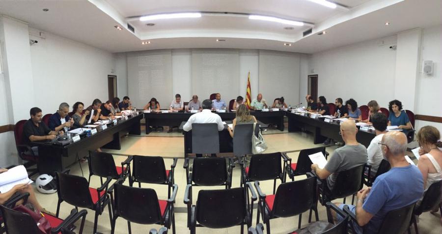 Ple 20 juliol