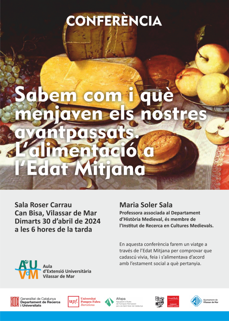 Cartell de la conferència