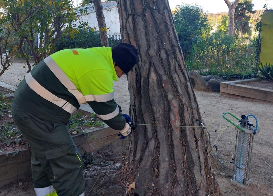 Operari aplicant el tractament d'endoteràpia