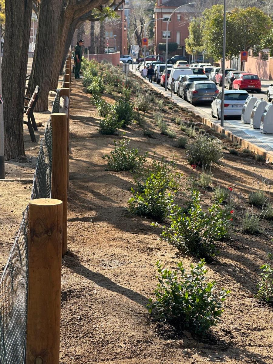Enjardinament sostenible de la plaça Tarradellas