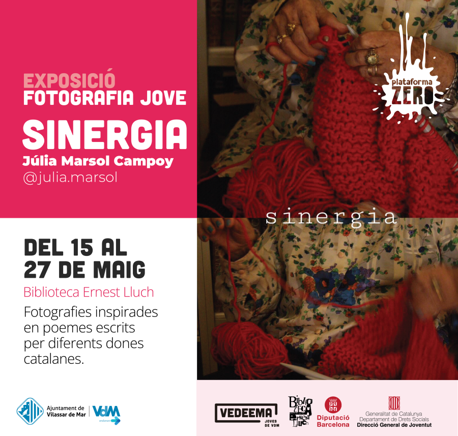Cartell de l'exposició de fotografia jove "Sinergia"