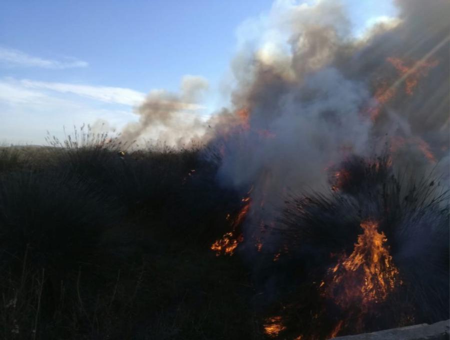 Imatge d'incendi forestal