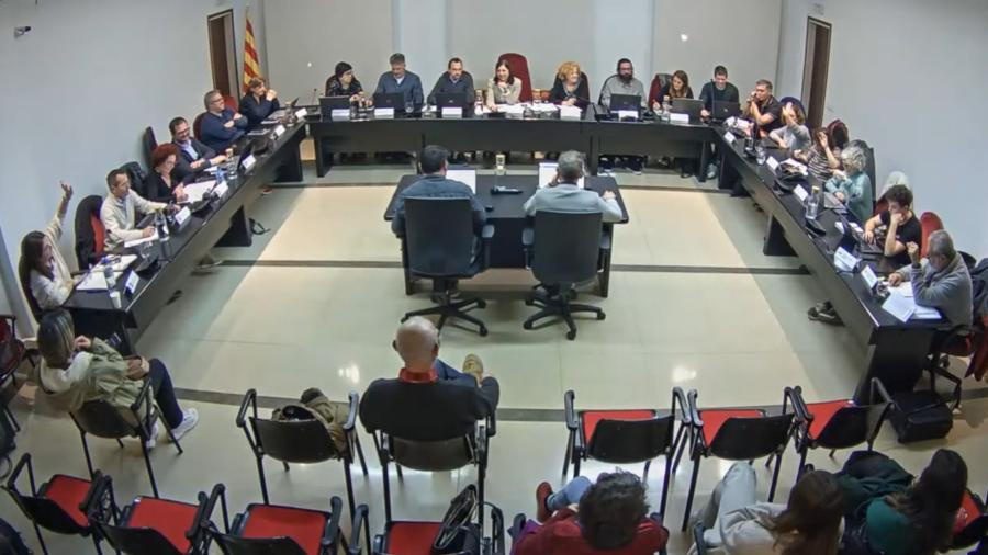 Sessió plenària del 15 de febrer de 2024