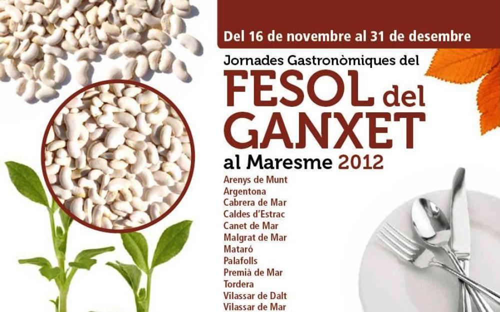 Portada fesol ganxet 2012