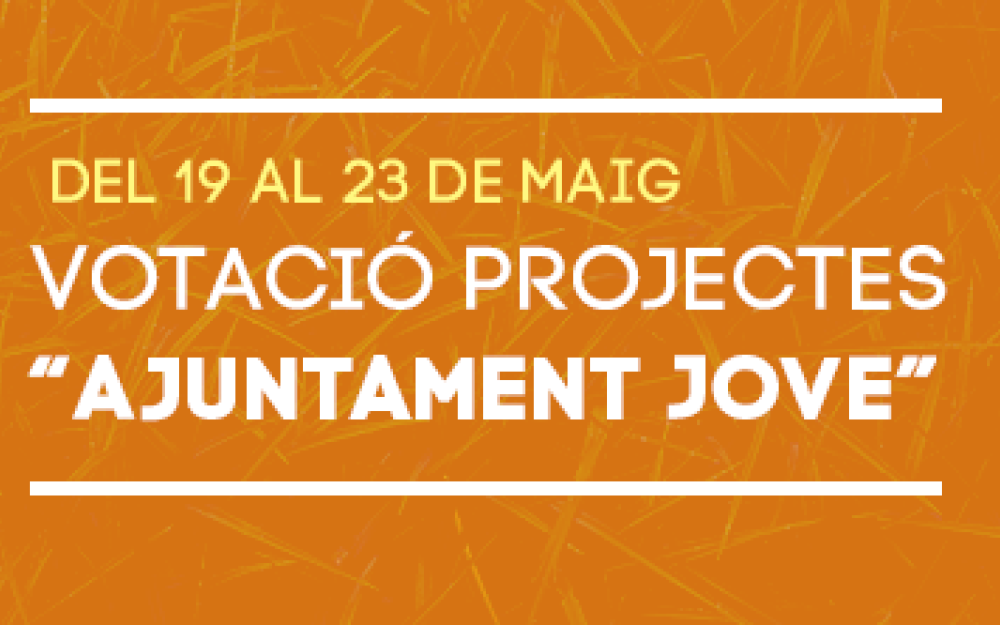 Destaquem Pressupostos Participatius Joves 2014