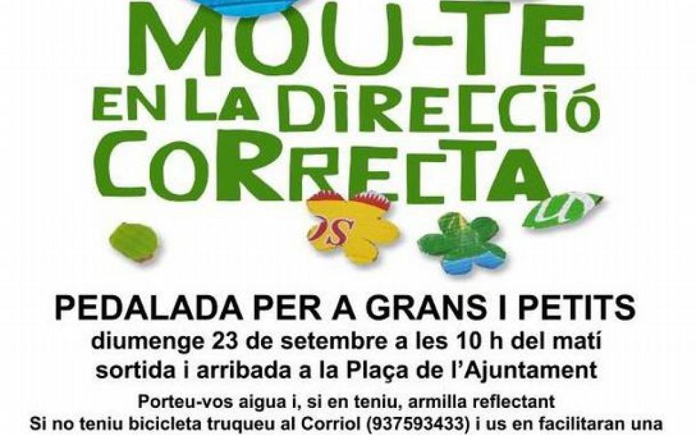 Cartell Pedalada 2012