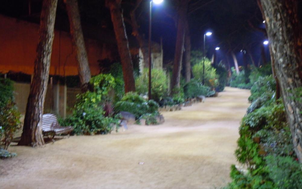 Nova il·luminació passeig dels Pins
