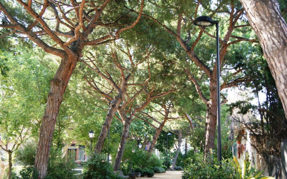 Nova il·luminació al passeig dels Pins