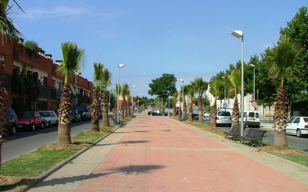 Palmeres av. Eduard Ferrés