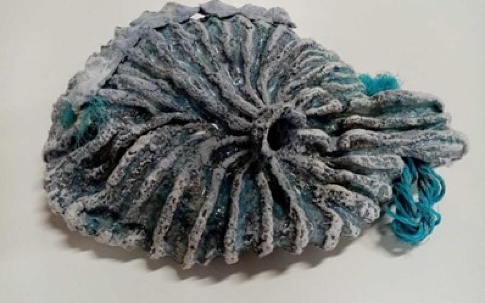 Sinbiontekume urdina