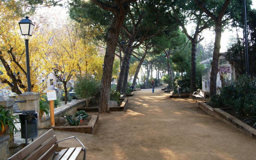 Passeig dels pins