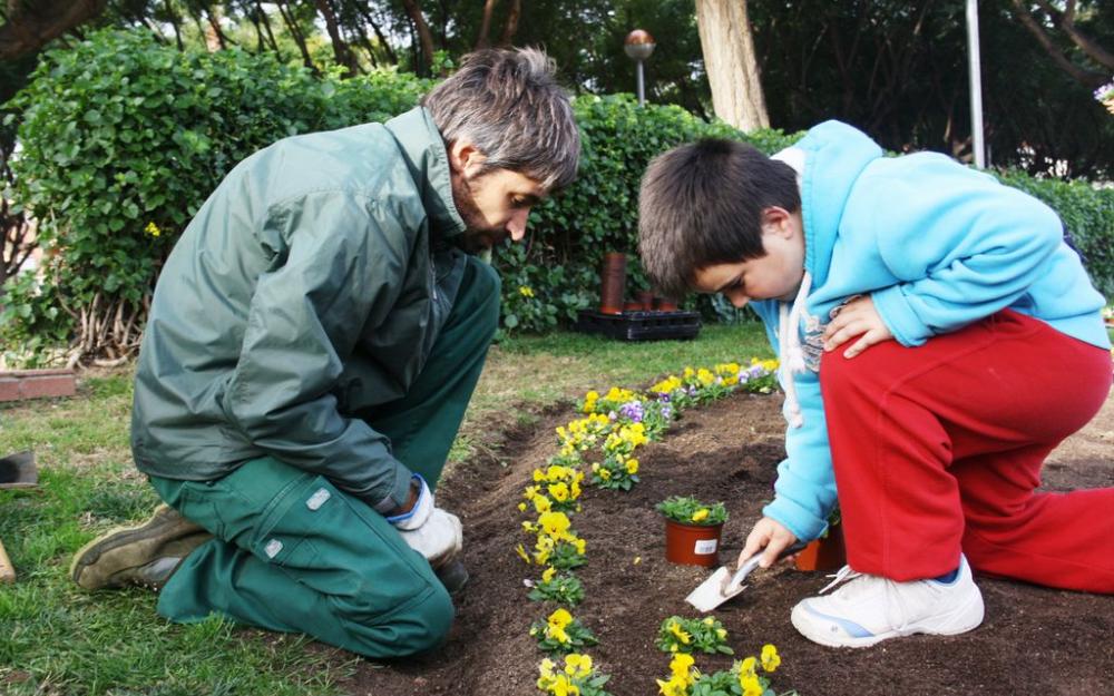 Plantada escoles