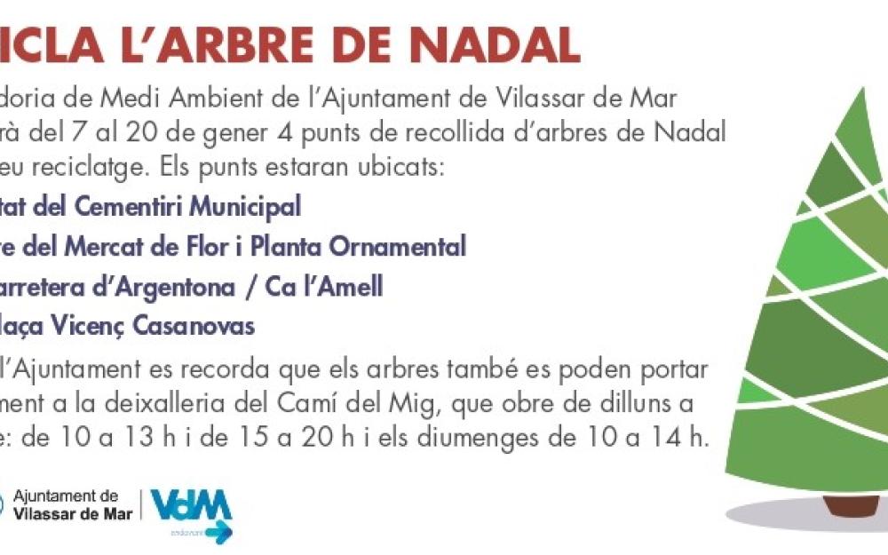 Reciclatge arbre Nadal 2022