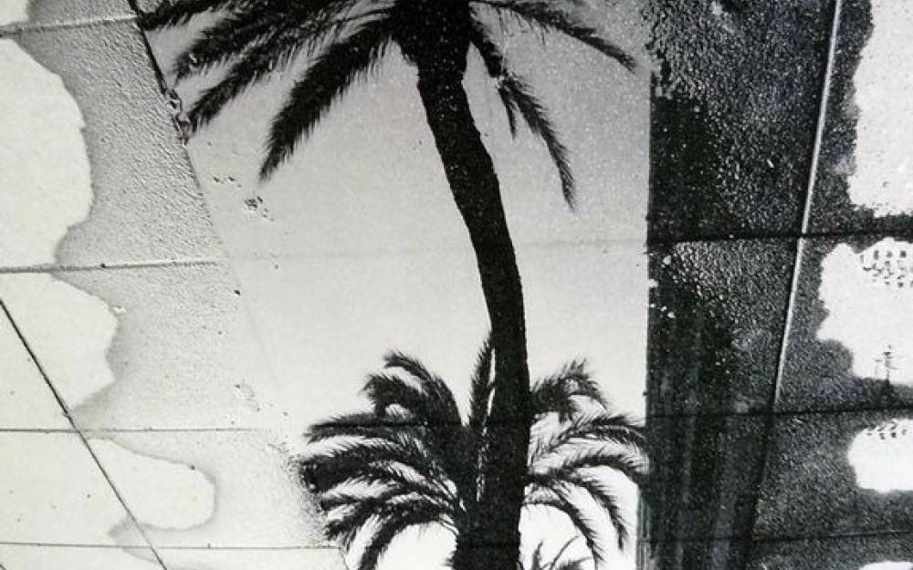 2n premi 20è concurs fotografia