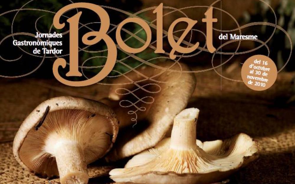 Portada Bolet 2010