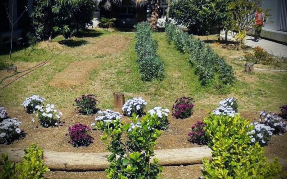Espai enjardinat institut Pere Ribot