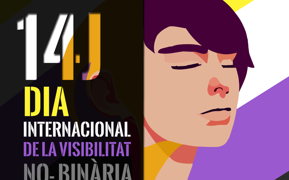 Bànner Dia Internacional de la Visibilitat No-Binària