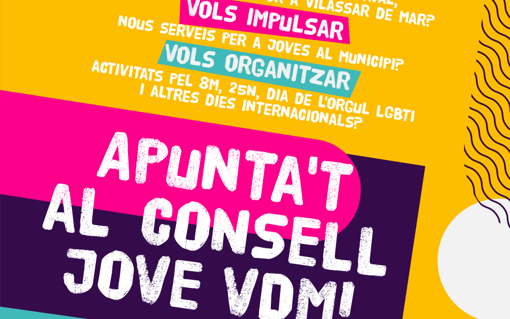 Cartell del Consell Jove VdM