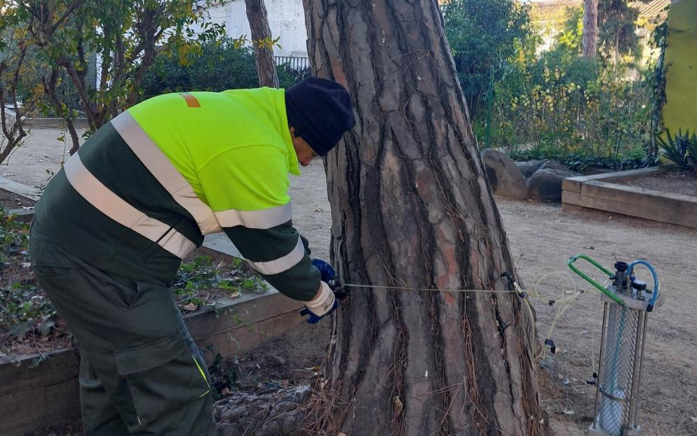 Operari aplicant el tractament d'endoteràpia