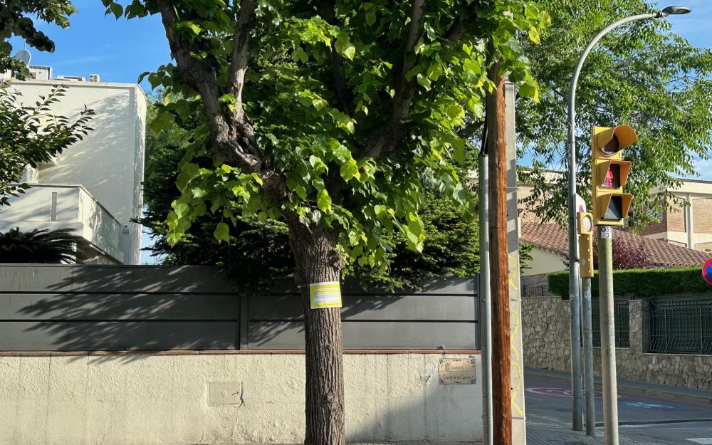 Avís del tractament fitosanitari al carrer Colom