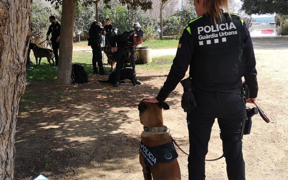 Una de les unitats canines que van participar en la formació