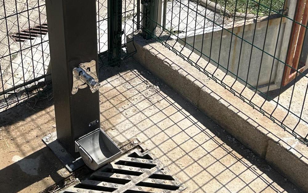 Nova font a l'espai d'esbarjo per a gossos de l'av. Eduard Ferrés