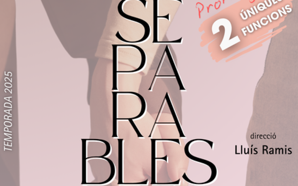 Cartell de l'obra "Inseparables"